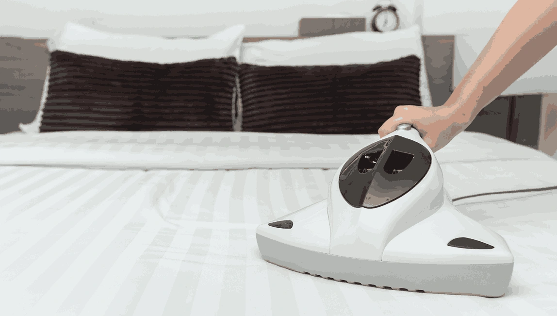 Professional Mattress Cleaning Mccrae